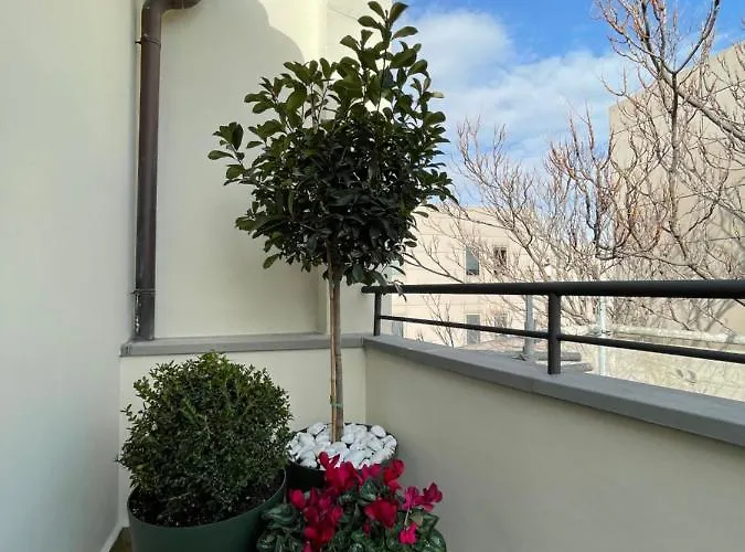 Vtz San Valero سرقسطة