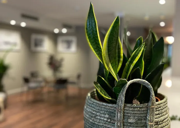 فندق Vtz San Valero